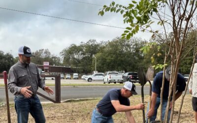 Belton celebrates Texas Arbor Day